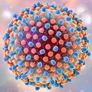 Hepatitis C