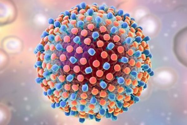 Hepatitis C